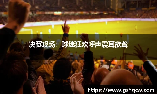 决赛现场：球迷狂欢呼声震耳欲聋